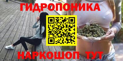 ГАЛЛЮЦИНОГЕННЫЕ ГРИБЫ Лесосибирск
