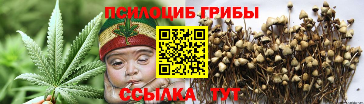 Галлюциногенные грибы GOLDEN TEACHER Воткинск